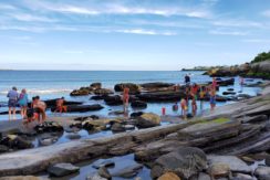 39_Tide Pools_LOW Tide_20190831_172813