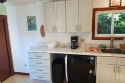 Angell, 107 - Updated kitchen 3